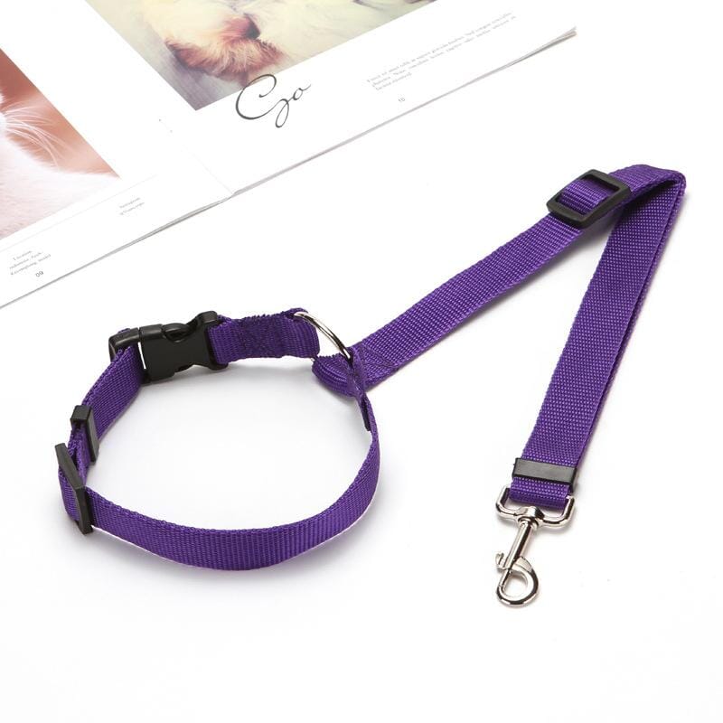 Adjustable Car Dog Leash