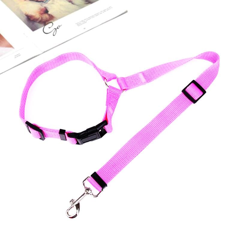 Adjustable Car Dog Leash